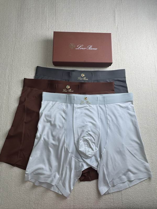 Loro Piana boxer XL-4XL 072318